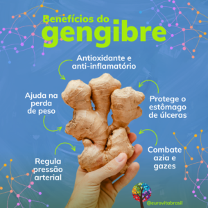 Benefícios do Gengibre Nutrição Alimentação Saudável Verde- EuroVita